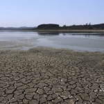 Captura de pantalla 2025-04-17 170652