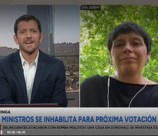 Directora del «CR2» por proyecto Dominga: «Los ruidos de navegación y construcción son factores que alteran la biodiversidad» (24horas.cl)