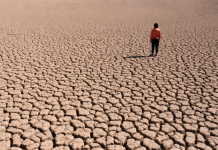 Estudio revela el impacto social y emocional en zonas afectadas por desastres climáticos en Chile (cooperativaciencia.cl)