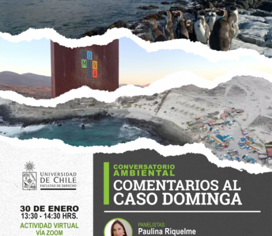 Conversatorio ambiental: Comentarios al caso Dominga