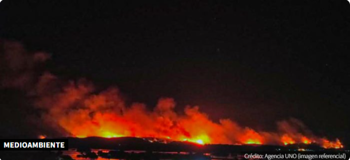 Captura de pantalla 2025-04-24 130453