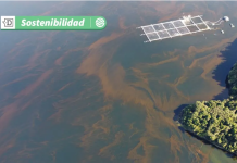 Conoce los factores que provocan la “Marea Roja”: Un fenómeno que trasciende las floraciones de algas (eldesconcierto.cl)