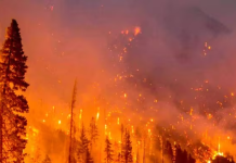 Impacto de las movilidades climáticas en Chile (RT Noticias)