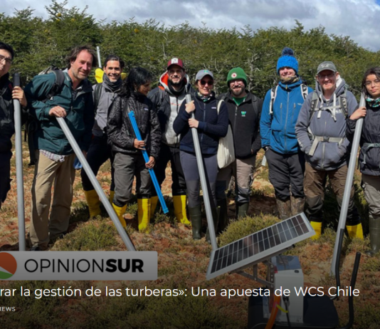 «Cómo mejorar la gestión de las turberas»: Una apuesta de WCS Chile (opinión sur)