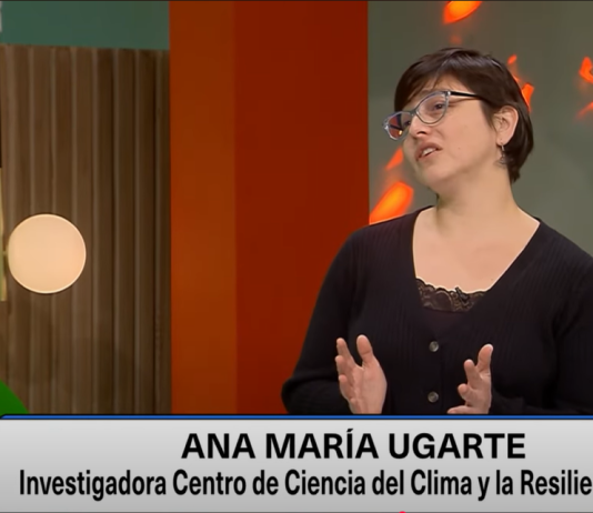 La importancia del Juego, Tornados y medio ambiente (NTV)