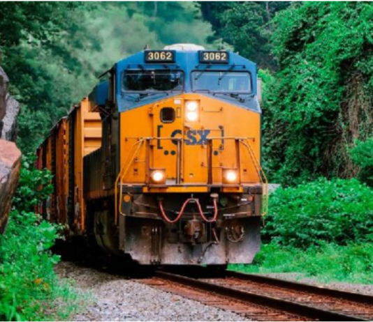 Rieles de tren: los durmientes de roble que sueñan con el clima del pasado (Infogate)