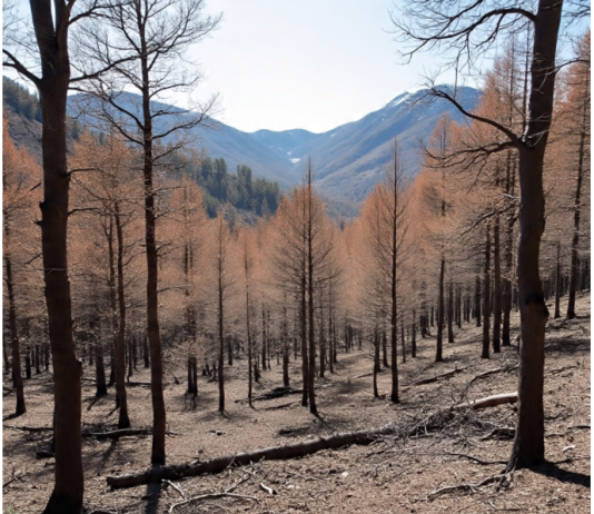 La Ley Marco sobre Cambio Climático en Chile: Un Desafío Pendiente (Revista La Ruta)