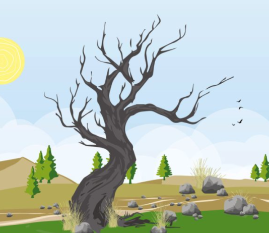 Solo el 3,8%: la escasa disponibilidad hídrica que tiene el territorio del Biobío (tvu.cl)