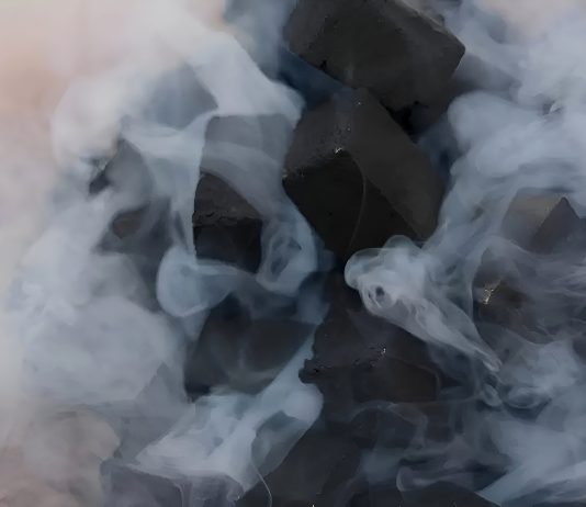 Carbono Negro en la Mira (Induambiente)