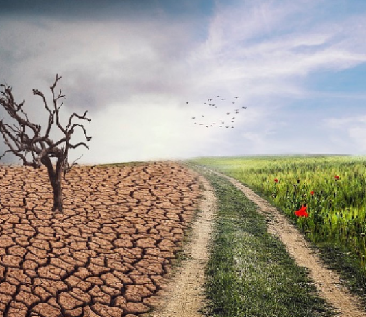 Los desafíos de la COP30: Acelerar la adaptación al cambio climático y limitar el aumento de la temperatura en un esfuerzo conjunto (Infogate)