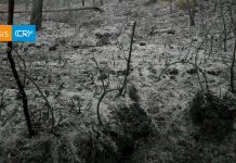 Análisis CR2 | Antiguos humanos habrían exacerbado los incendios en los archipiélagos patagónicos hace 2.700 años