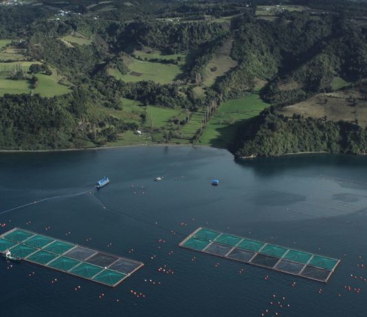 SalmonChile, Universidad Austral y World Aquaculture Society organizan el principal congreso acuícola latinoamericano en Puerto Varas (Diario Acuícola