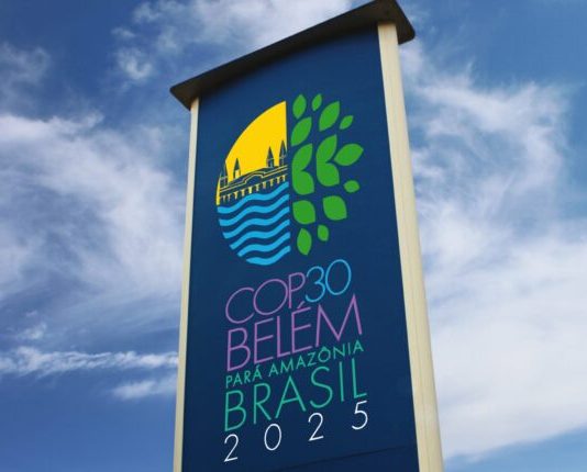 COP30 en la Amazonía: una cita clave para acelerar la acción climática y cumplir el Acuerdo de París (El Periodista)