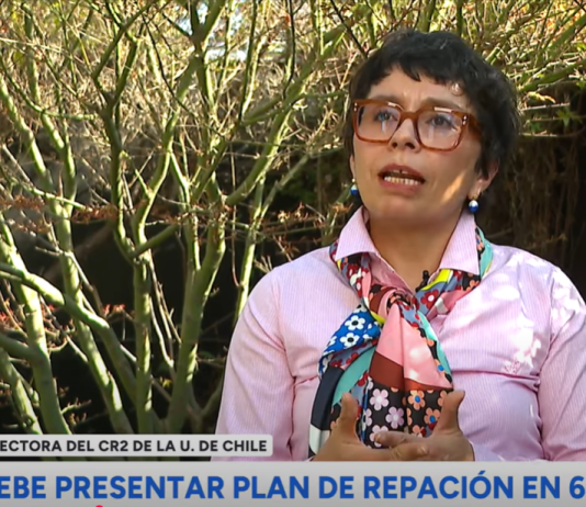 Tribunal Ambiental condena al Estado de Chile por el daño de vertederos irregulares en Alto Hospicio (24 Horas Central)