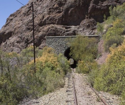 Durmientes de roble abandonados sorprenden por guardar información sobre el pasado (diario UACH)