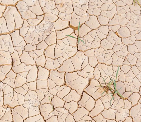 Investigación revela los impactos de la hipersequía en Chile (Diario Palena)