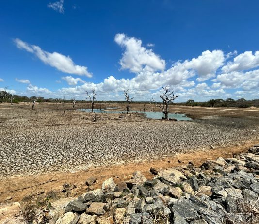 Investigación revela los impactos de la hipersequía en Chile