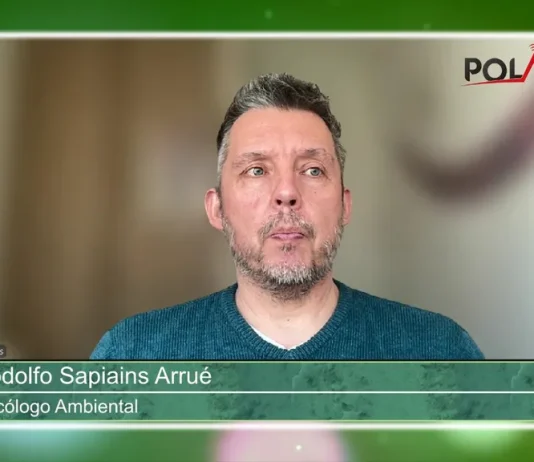 Psicólogo ambiental critica rol estatal en estrategia de H2V: «Esta no es una discusión sobre cambio climático sino una discusión sobre el desarrollo de la región» (Radio Polar)