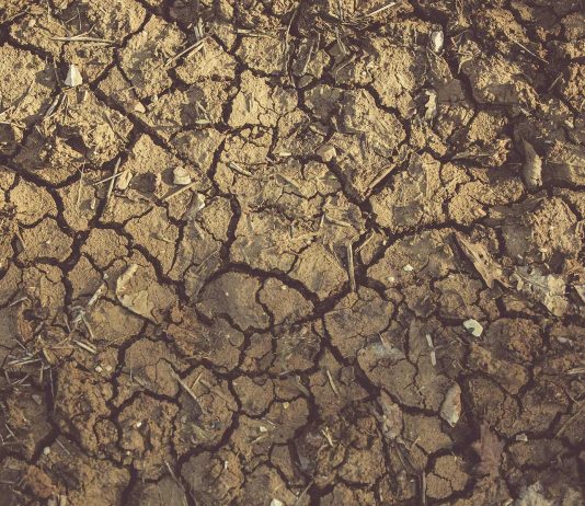 Investigación de la U. de Chile revela los impactos de la hipersequía en el país (UChile.cl)