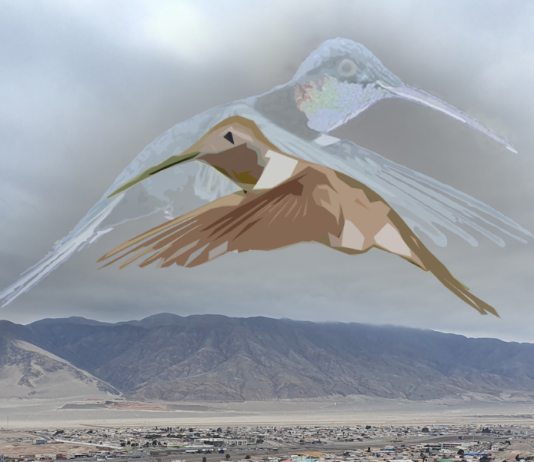 Investigación transdisciplinar inspira obra sobre aluvión de Atacama de 2015 (UChile.cl)