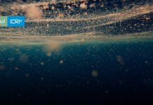 Policy brief CR2 | Percepción social del impacto de las floraciones algales nocivas en Quellón, Chiloé