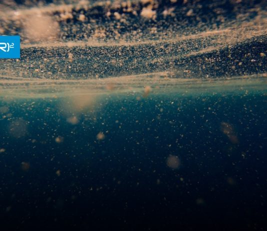 Policy brief CR2 | Percepción social del impacto de las floraciones algales nocivas en Quellón, Chiloé