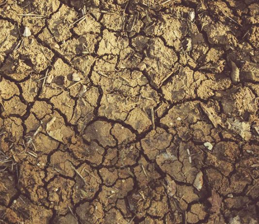 Investigación revela los diversos impactos de la hipersequía en Chile (Induambiente)