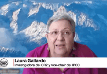 La Tierra supera primer punto de no retorno: alerta por colapso de arrecifes de coral (Futuro 360)