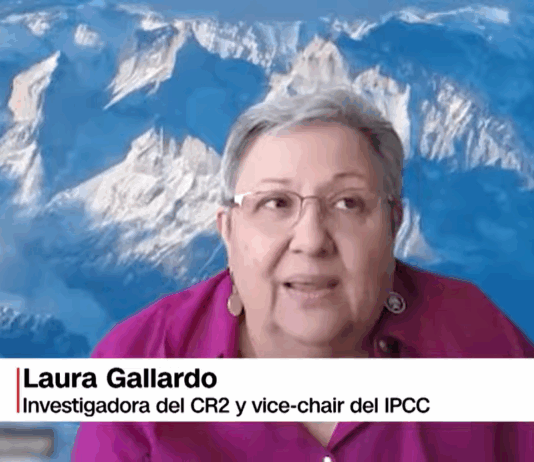 La Tierra supera primer punto de no retorno: alerta por colapso de arrecifes de coral (Futuro 360)