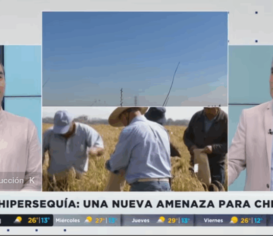 Hipersequía: La nueva amenaza para Chile que podría ser cada vez más frecuente (Megatiempo)