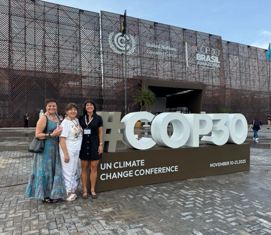 COP30 y el Desafío Local: Las lecciones de Chile en la implementación de la acción climática comunal