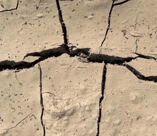 Estudio advierte sobre las «hipersequías», el nuevo fenómeno climático extremo que afecta al país (Cooperativa Ciencia)