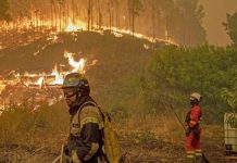 Preparación para la temporada de verano (Diario Concepción)