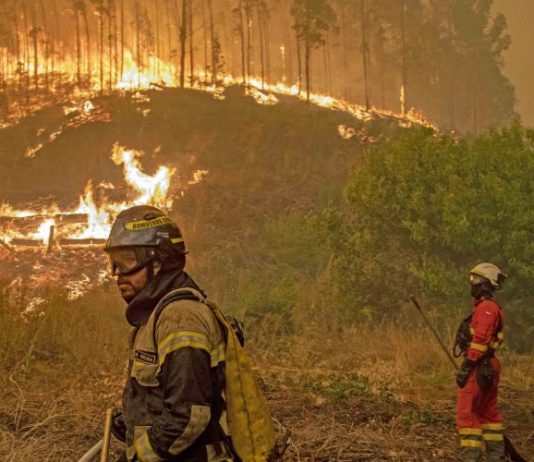 20 de enero | «Presentación de resultados: Estudio de los efectos del mega incendio de Viña del Mar y Valparaíso 2024 en las consultas médicas realizadas en BUPA Chile»