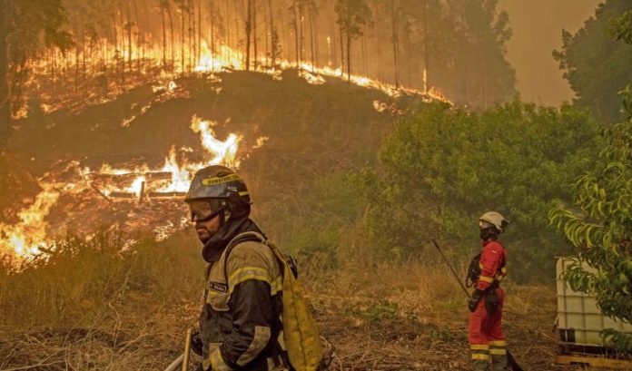 pag-6-incendios-forestales-foto-UME-850x500