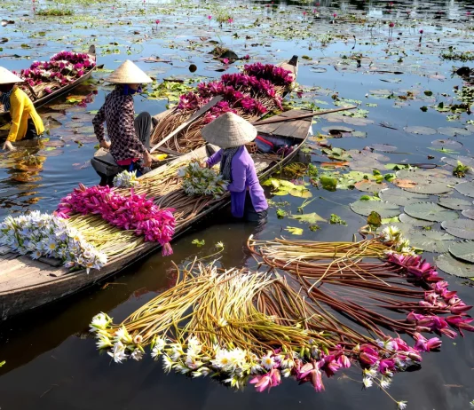 Más de 437 millones de personas son ahora más resistentes al cambio climático, según un informe (Climate High-Level Champions)