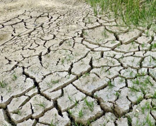 Hipersequías en Chile: estudio alerta eventos más extremos y frecuentes (El Periodista)