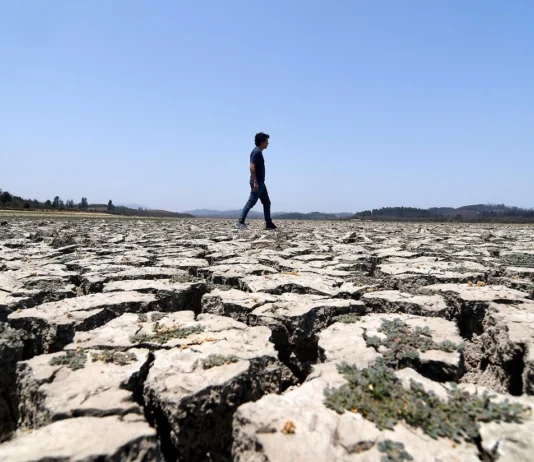 Gobierno quita recursos a CR2, principal centro de estudios del cambio climático en Chile: Fue dirigido por Maisa Rojas (El Desconcierto)