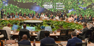 Entre la Acción y la Inacción (Induambiente)