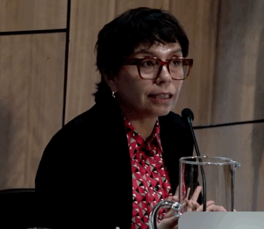 Dra. Pilar Moraga Sariego participa en seminario de conmemoración del Acuerdo de París (uchile.cl)