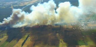 Anticipan 34°C en Biobío y equipos de emergencia coordinan acciones por posibles incendios forestales (tvu.cl)