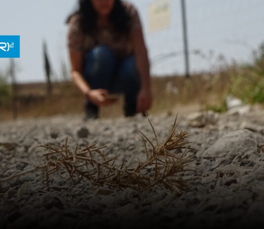 Policy brief CR2 | Estrés hídrico en Chile: pasado, presente y futuro