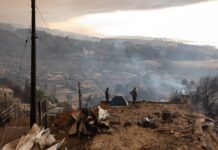Incendios forestales de gran escala confirman vulnerabilidades territoriales del Biobío, advierten académicos UdeC (Noticias.Udec.cl)