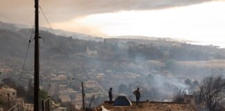 Incendios forestales de gran escala confirman vulnerabilidades territoriales del Biobío, advierten académicos UdeC (Noticias.Udec.cl)