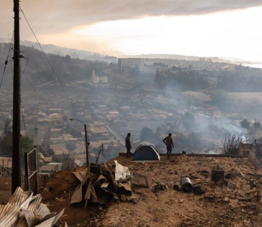 Incendios forestales de gran escala confirman vulnerabilidades territoriales del Biobío, advierten académicos UdeC (Noticias.Udec.cl)