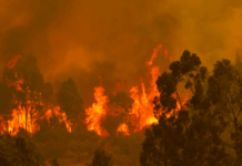 Incendios en Chile: “Vamos a requerir un acuerdo social amplio para poder prevenir que esto ocurra con esta magnitud” (El Maipo)