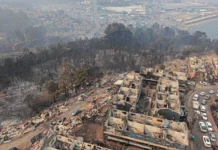 El “efecto borde”: estudio muestra que vivir cerca de plantaciones forestales duplica el riesgo de incendios (ADN Radio)