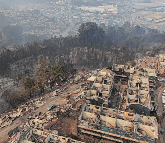 El “efecto borde”: estudio muestra que vivir cerca de plantaciones forestales duplica el riesgo de incendios (ADN Radio)
