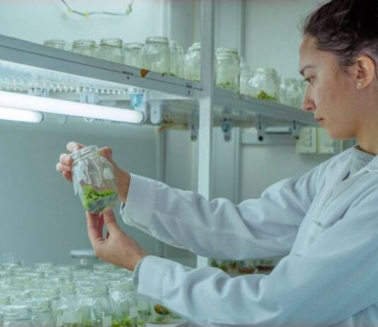 Cuando la ciencia se centraliza, el país se achica (El Mostrador)