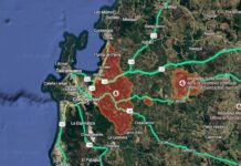 Plantaciones forestales y fuego: una combinación ajena al ecosistema del Chile central (CFM)